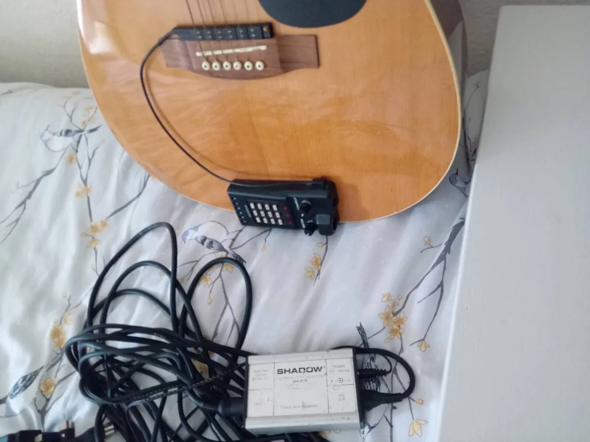 Denver electric acoustic guitar with shadow picup - Image 2