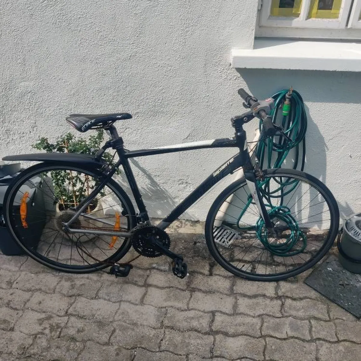 Project Bikes - Image 3