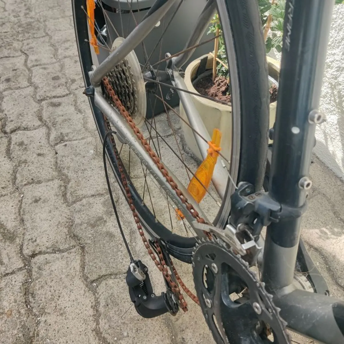 Project Bikes - Image 4