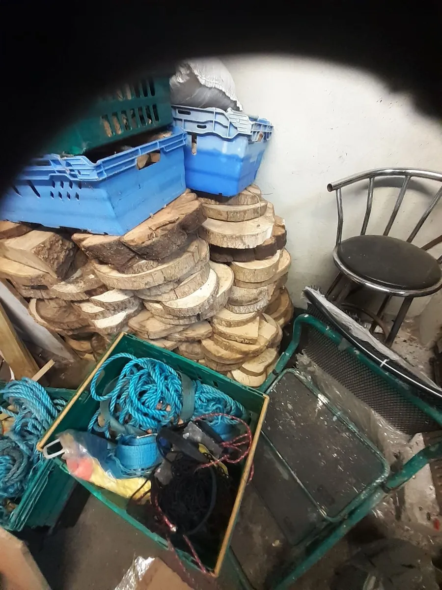 wood slices - Image 1