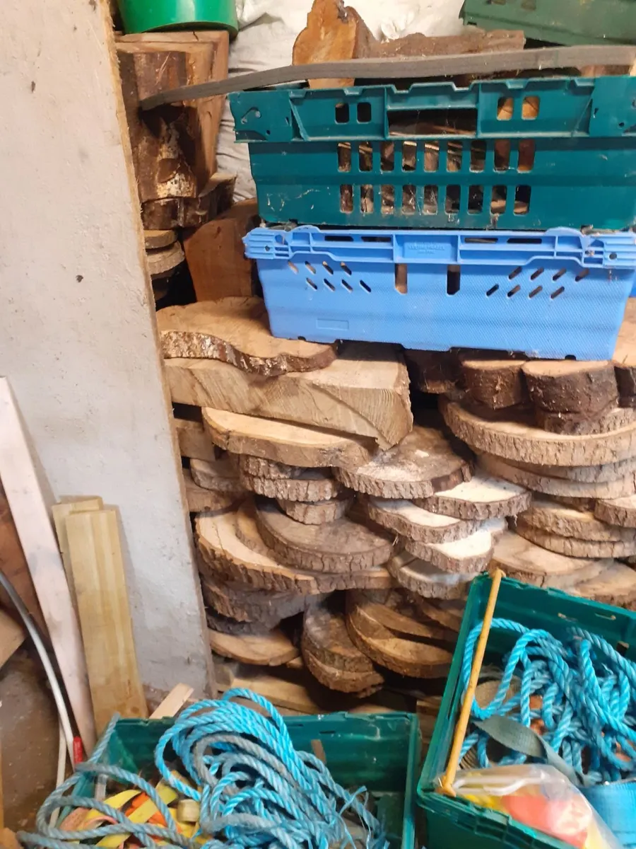 wood slices - Image 3