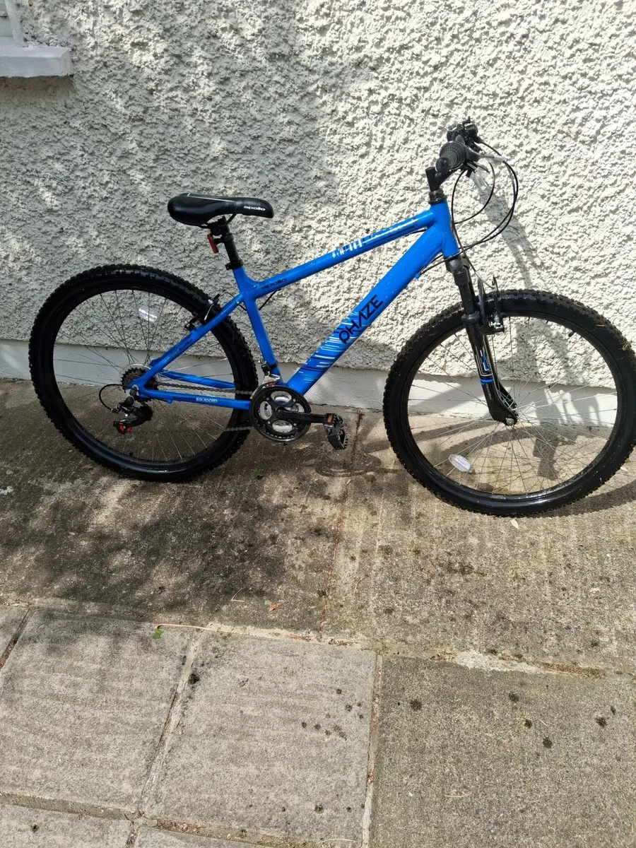Junior bike - Image 1