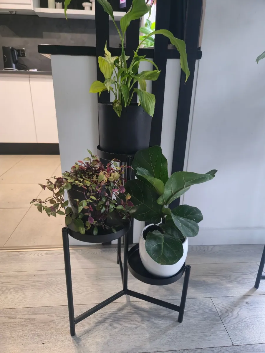flowers with a stand - Image 1