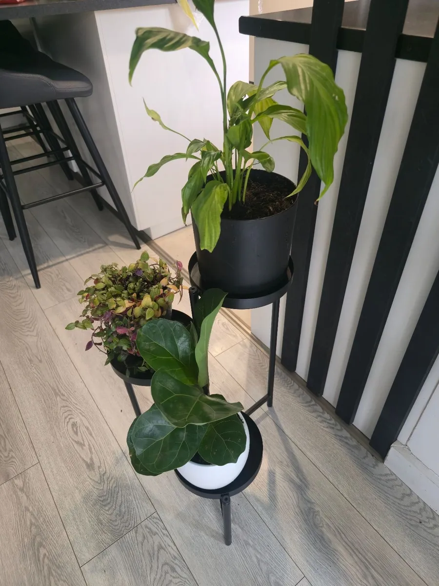 flowers with a stand - Image 3