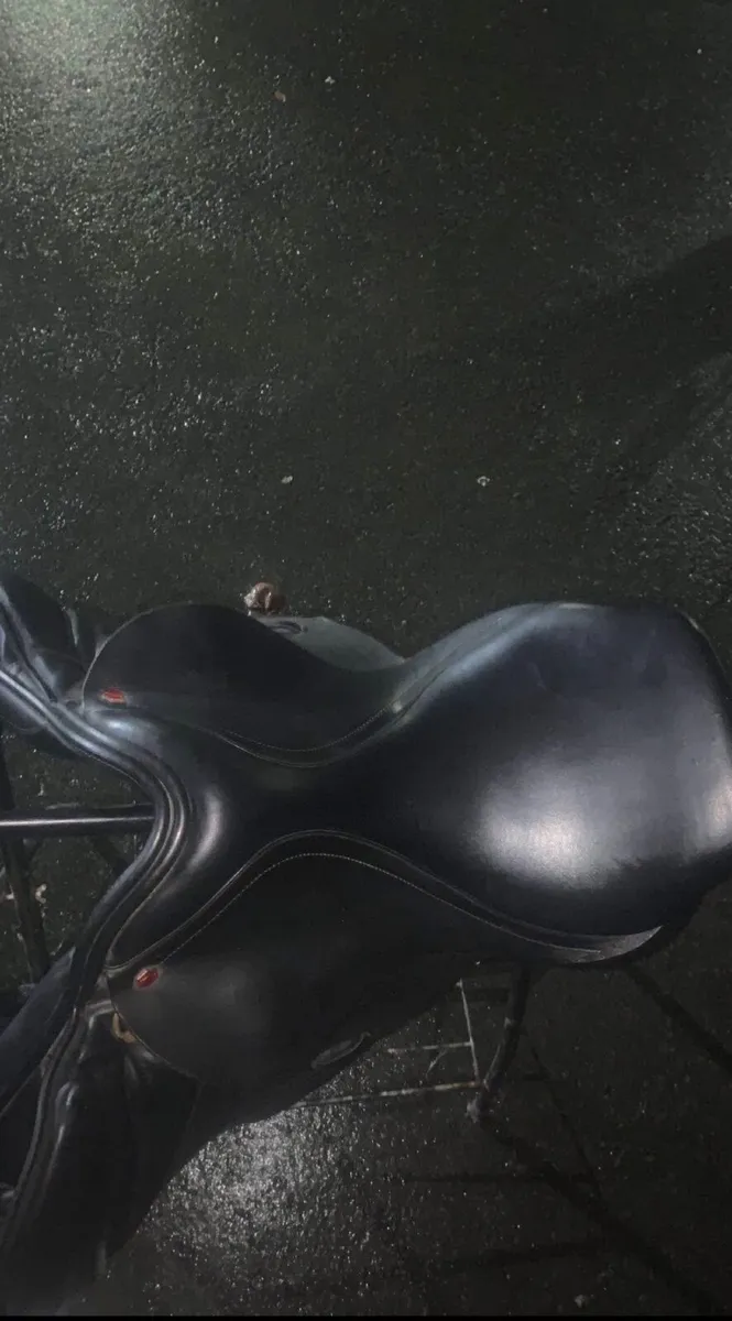 Albion jumping saddle - Image 1