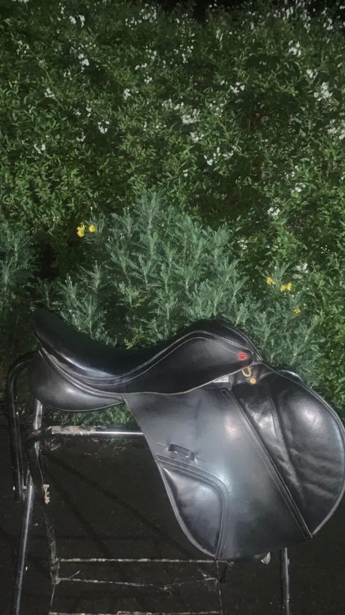 Albion jumping saddle - Image 2