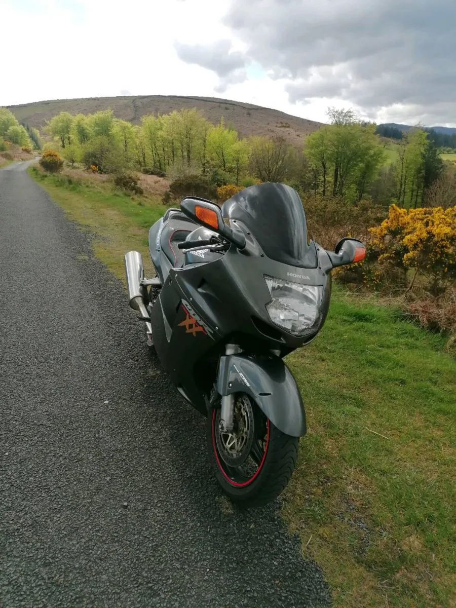 Honda blackbird - Image 2