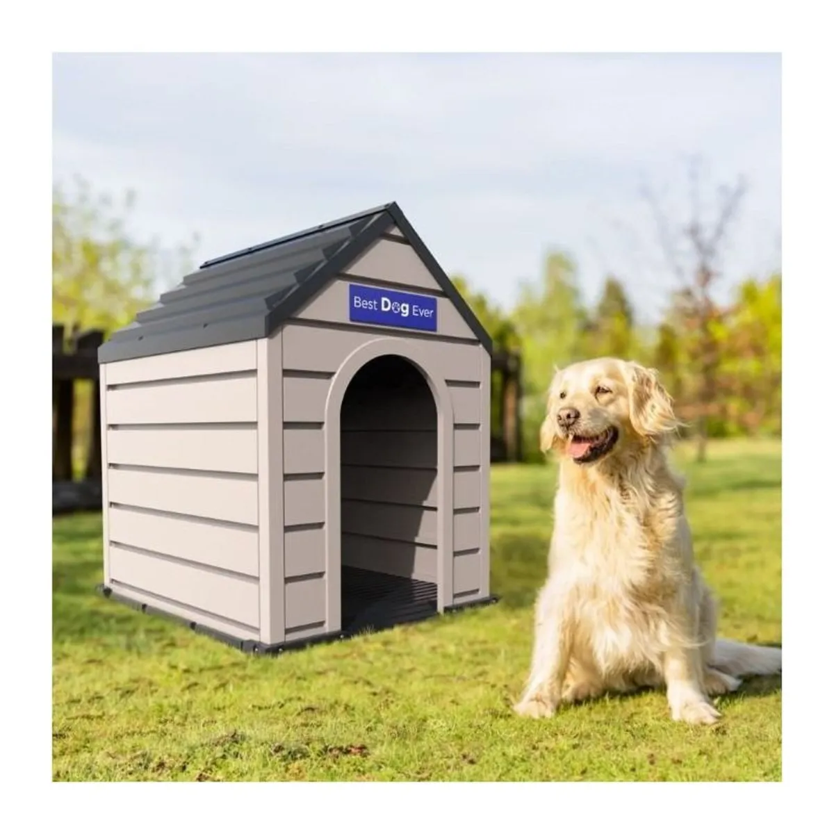 Excellent Outdoor Dog Kennel — Free Delivery 🚚 - Image 1