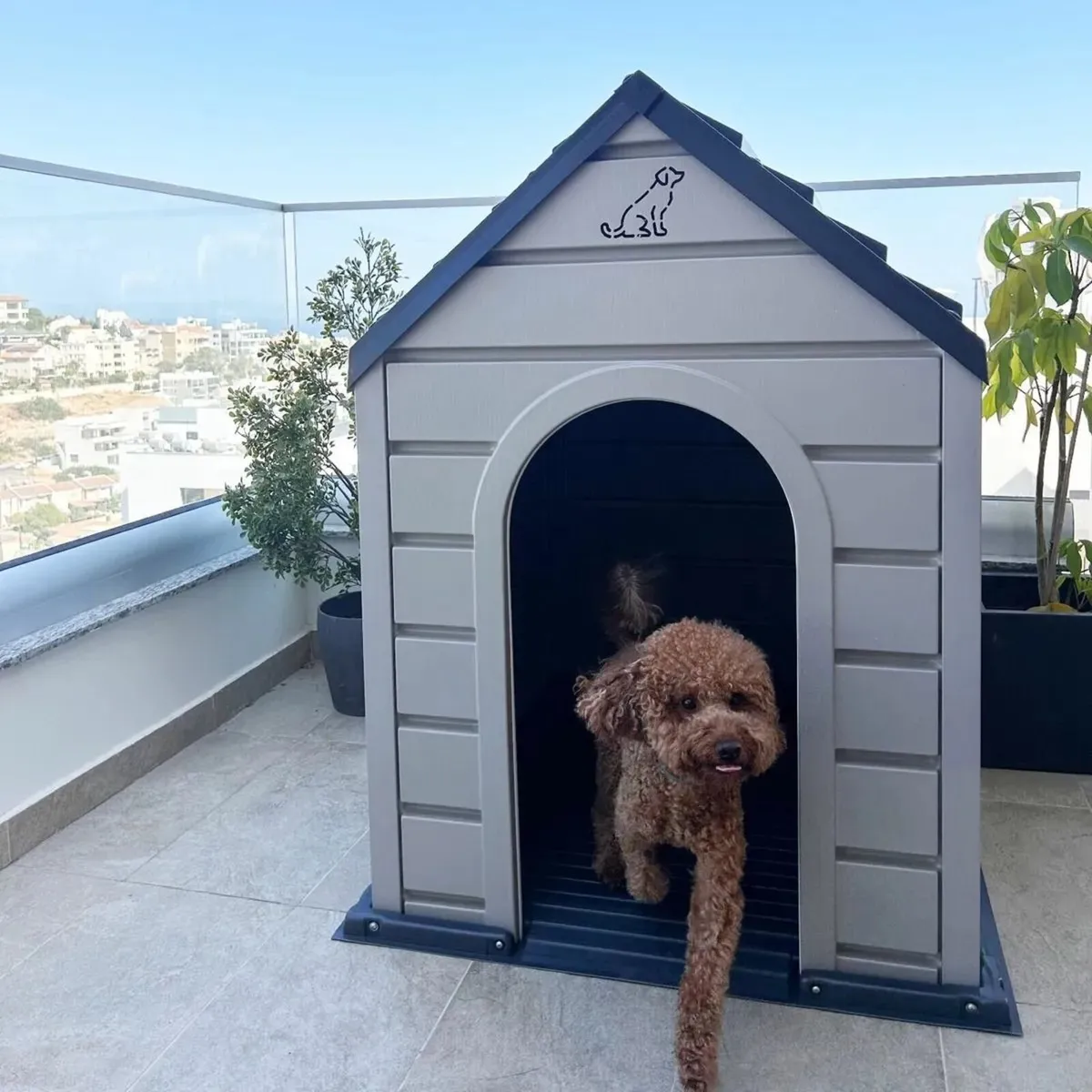 Excellent Outdoor Dog Kennel — Free Delivery 🚚 - Image 2