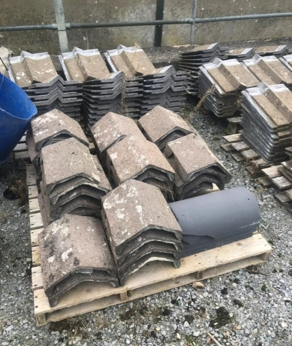 Roof tiles with design and ridge caps - Image 2