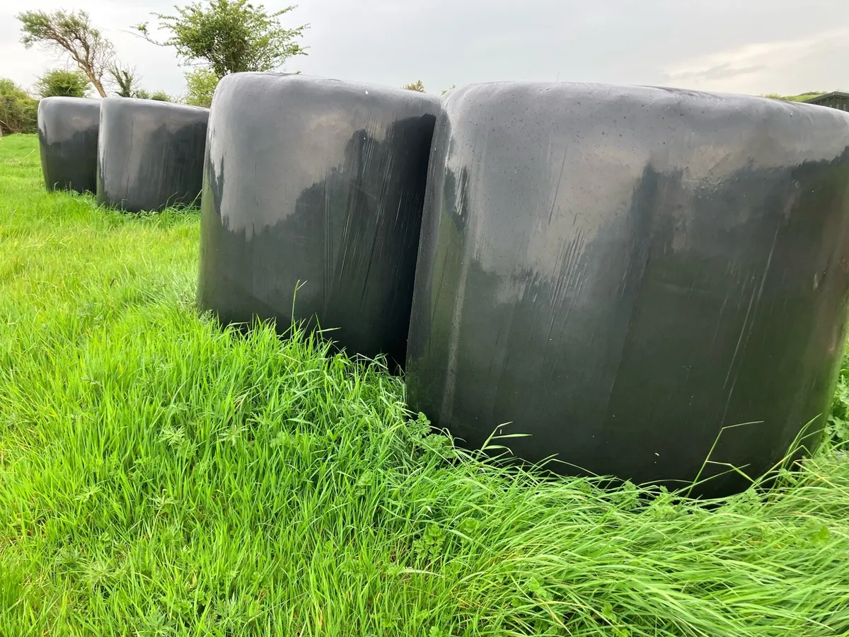 Haylage Bales