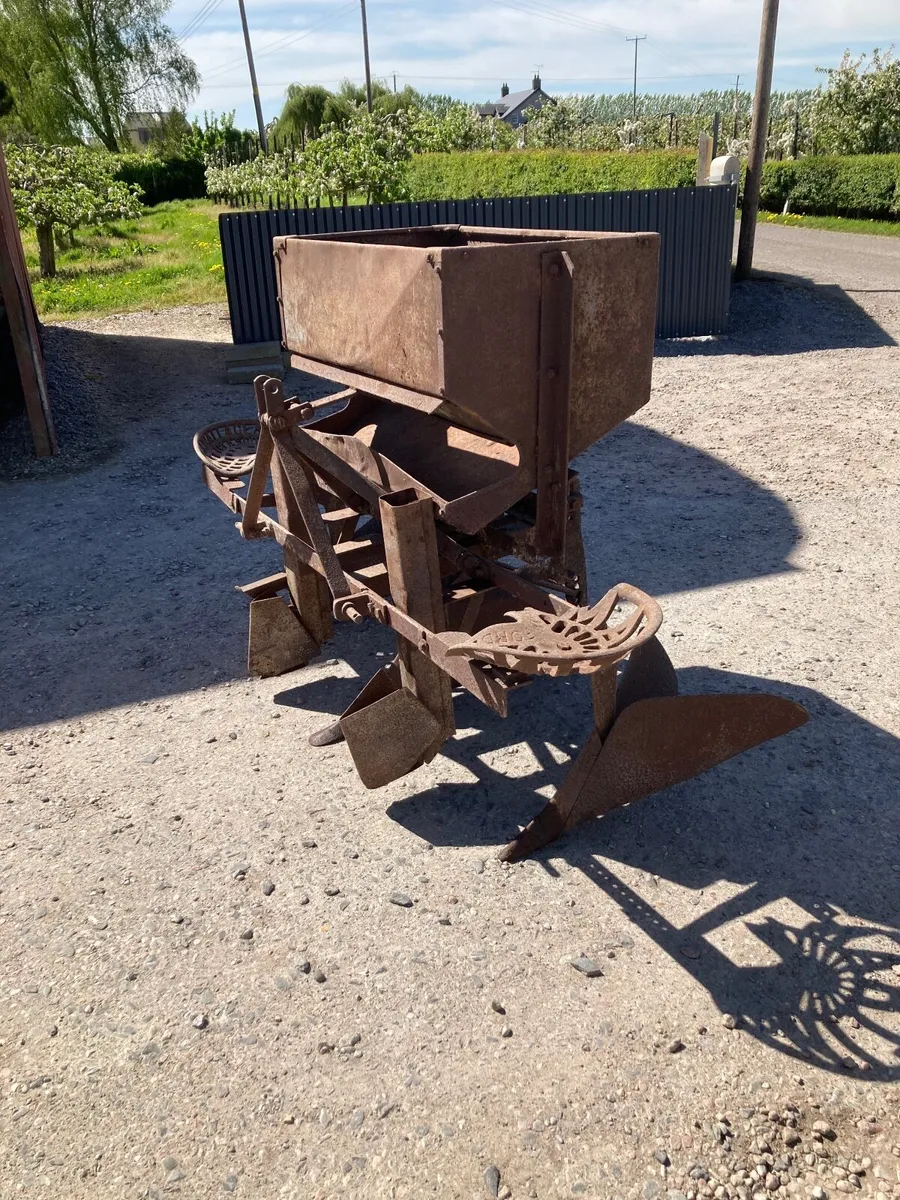 Ferguson potato planter - Image 4