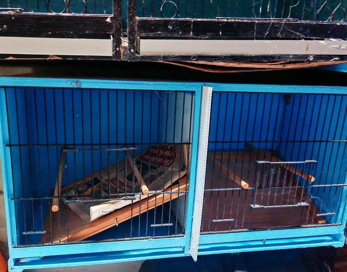 Canary breeding cages - Image 3