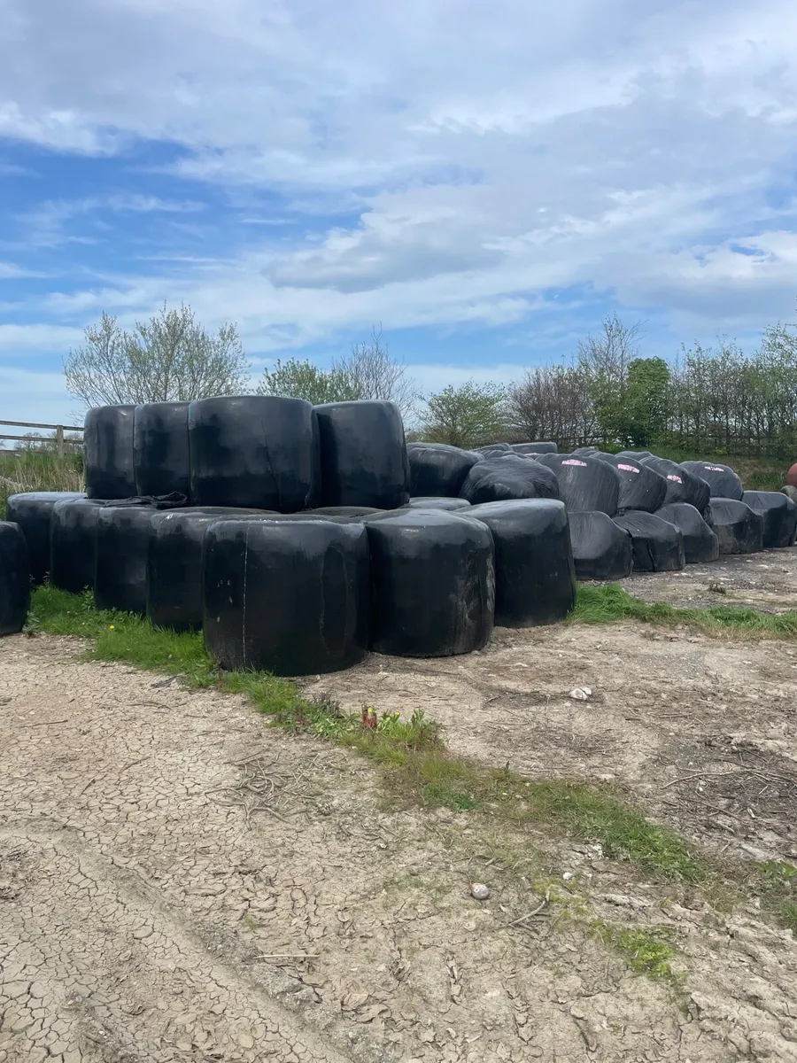 Silage bales