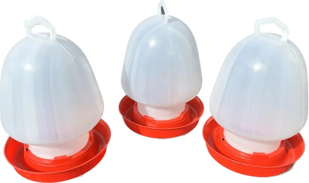 Egg Trays & Chicken Drinkers - Image 3