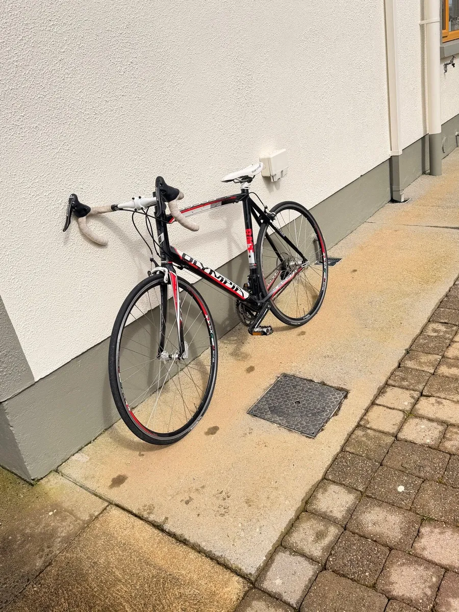 Bike racer - Image 2