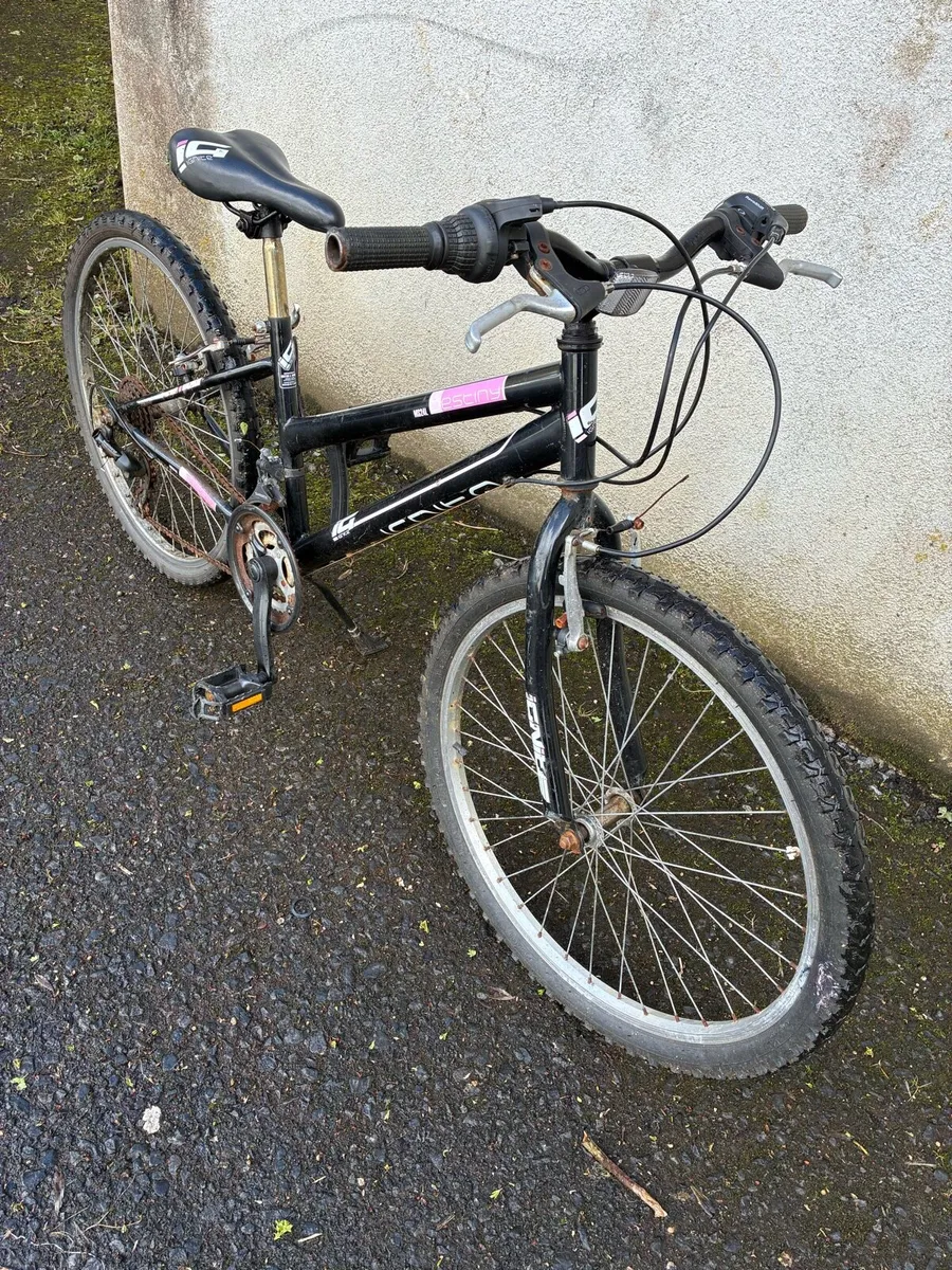 Girls mountain bike - Image 2