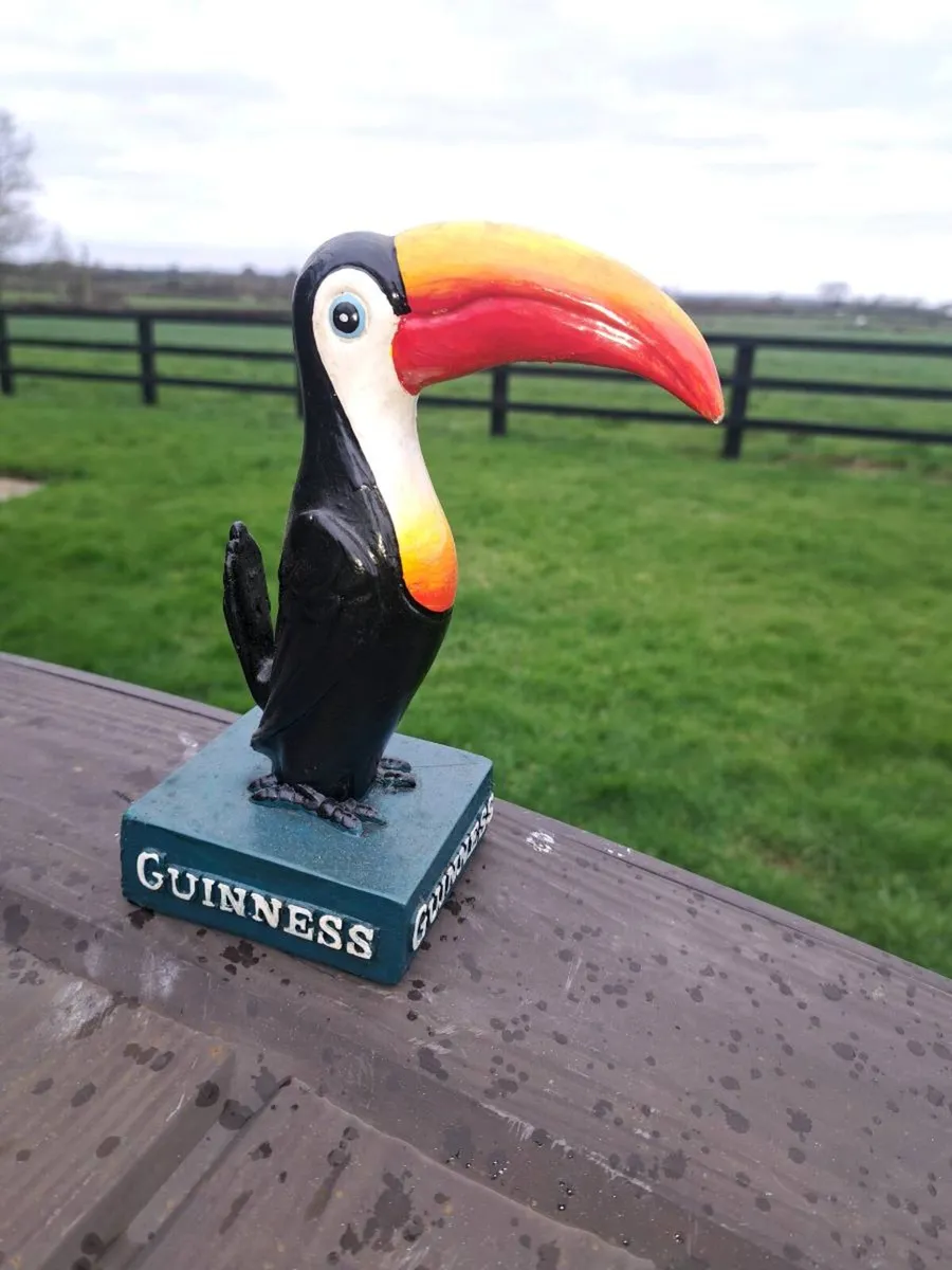 Bulmers bird - Image 4