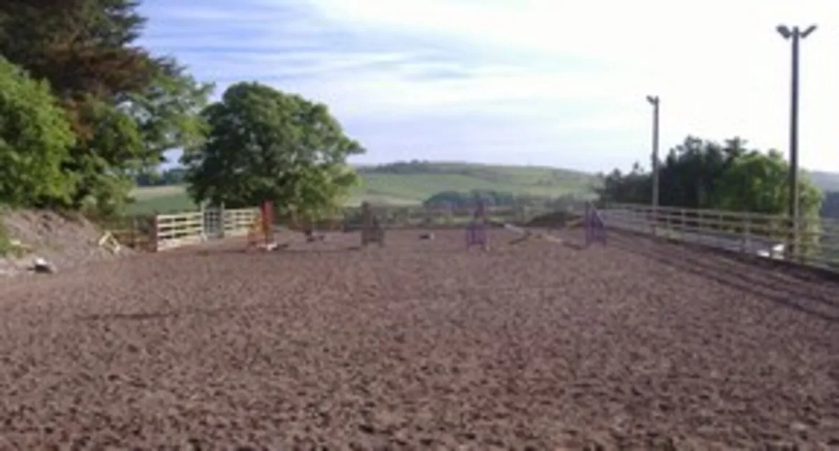 Livery yard and riding school - Image 3