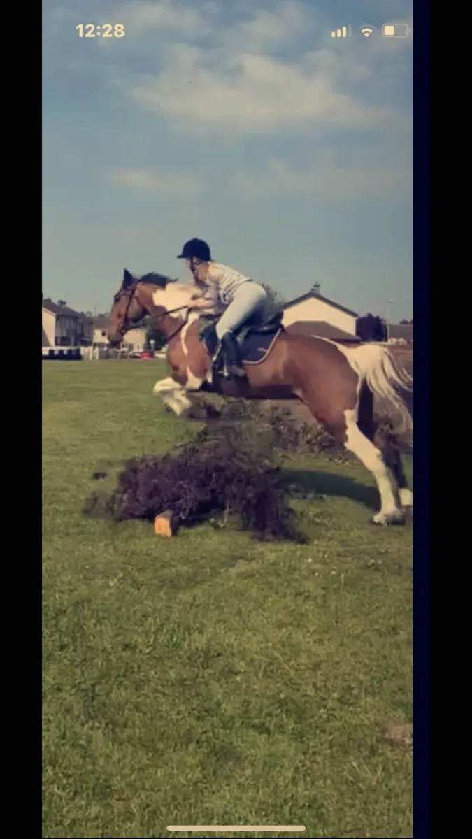 Horse - Image 3