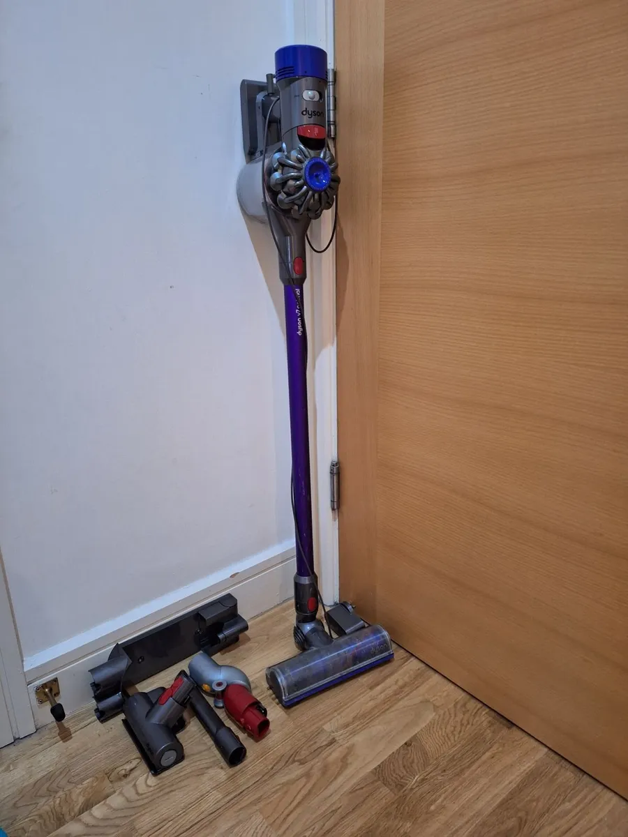 Dyson v7 animal