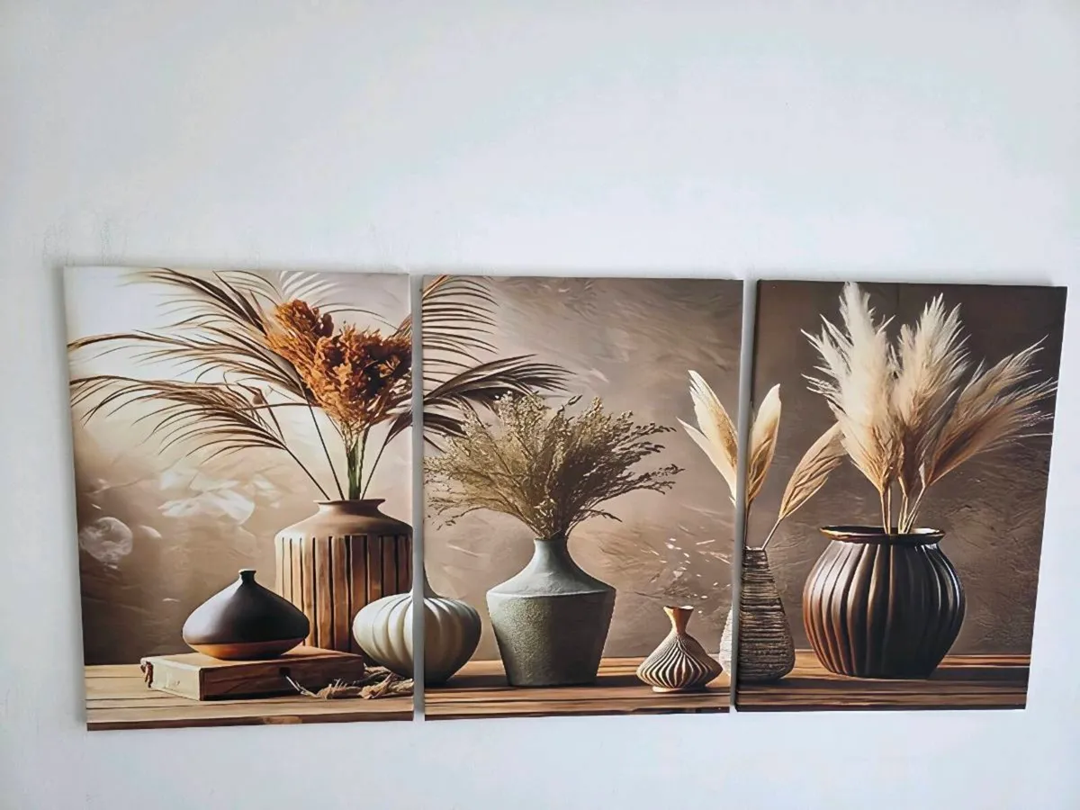 3 large framed  canvas 46x66cm each one - Image 2