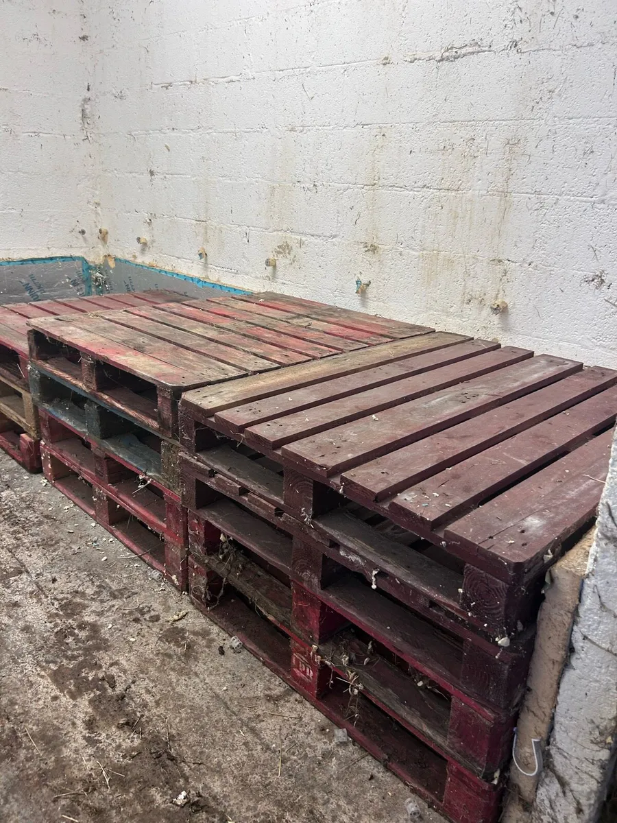 Pallets - Image 3