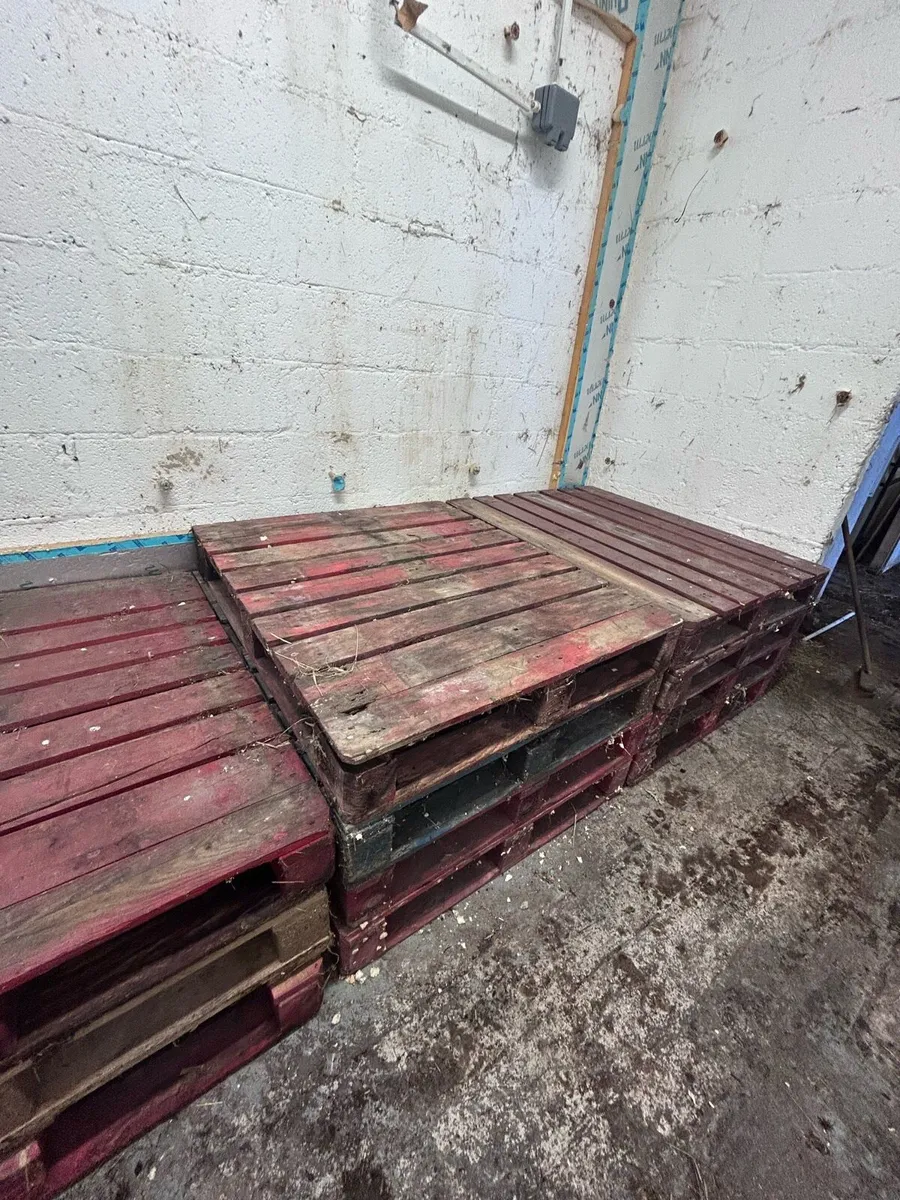 Pallets - Image 4