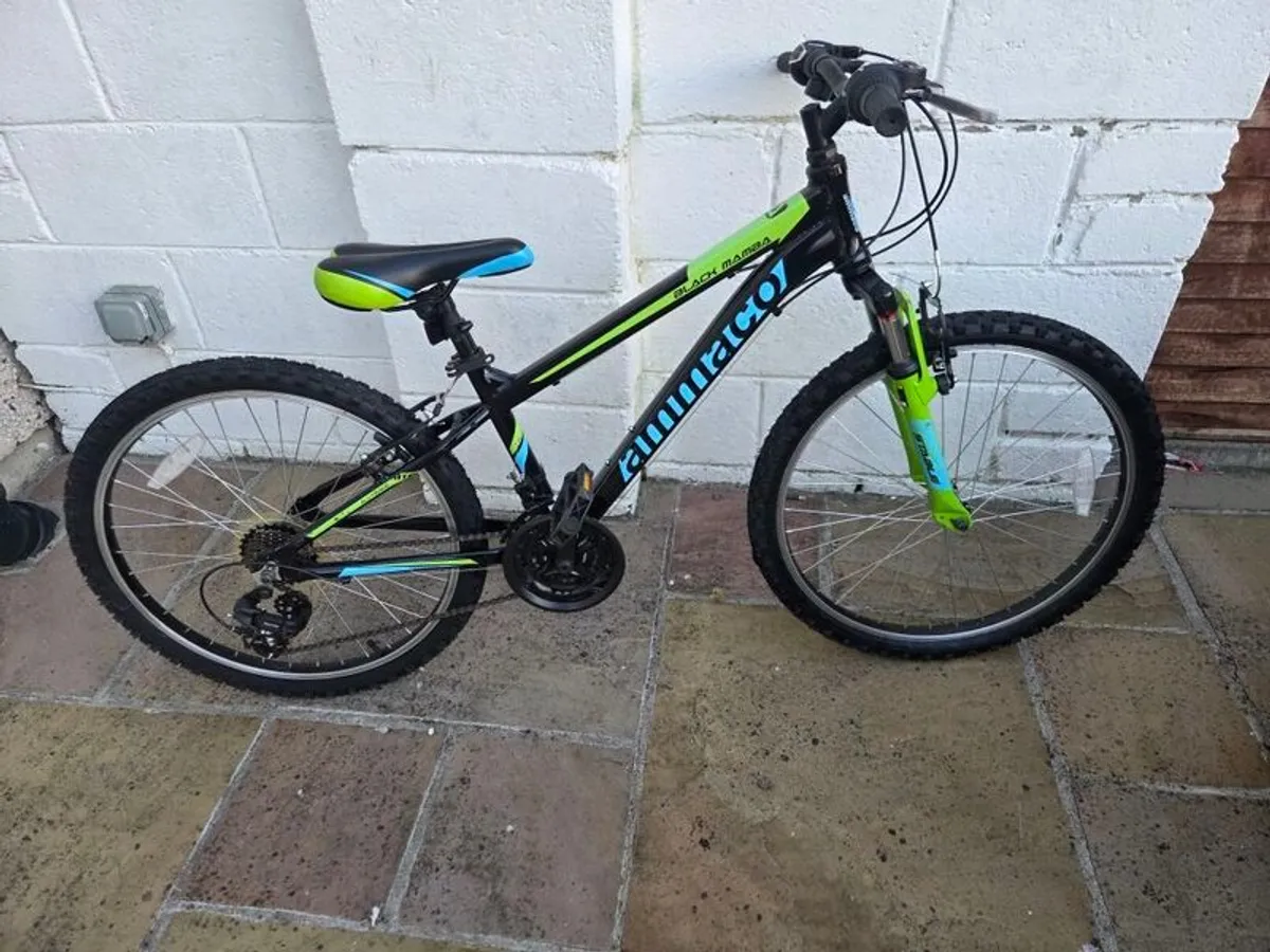 Boys mountain bike 24" - Image 1