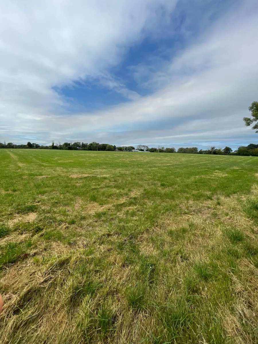 Horse Grazing available - Image 1