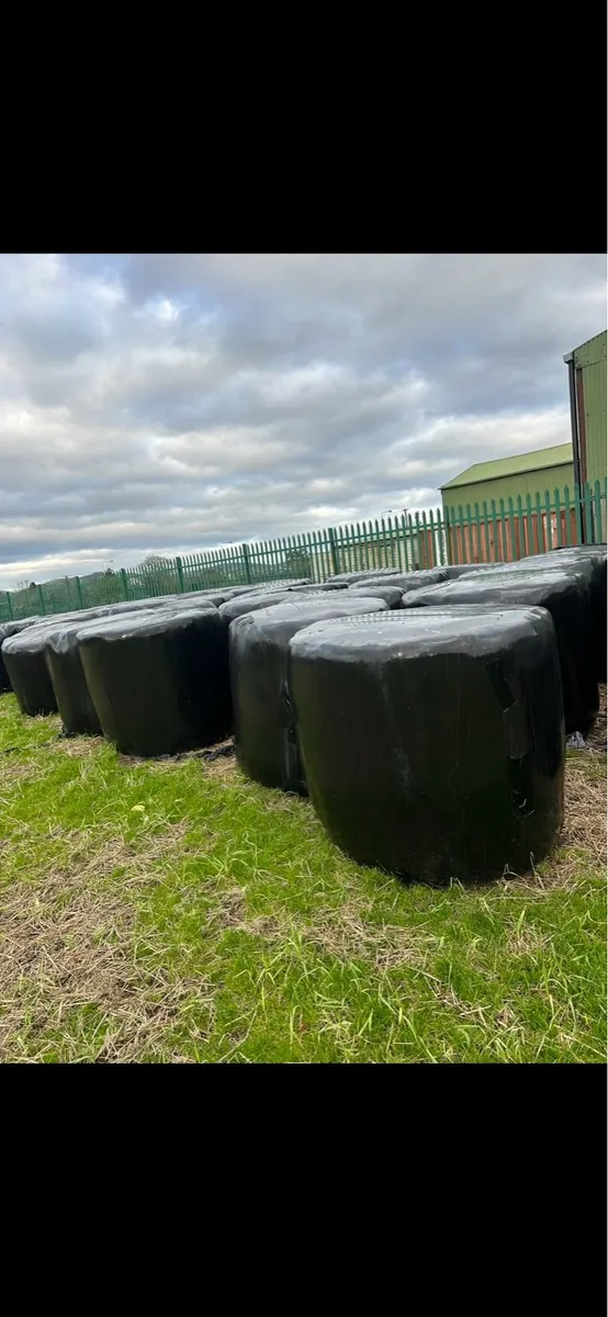 Bales of silage 🌱