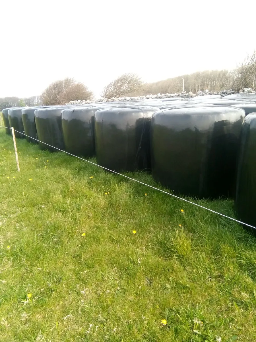 Silage