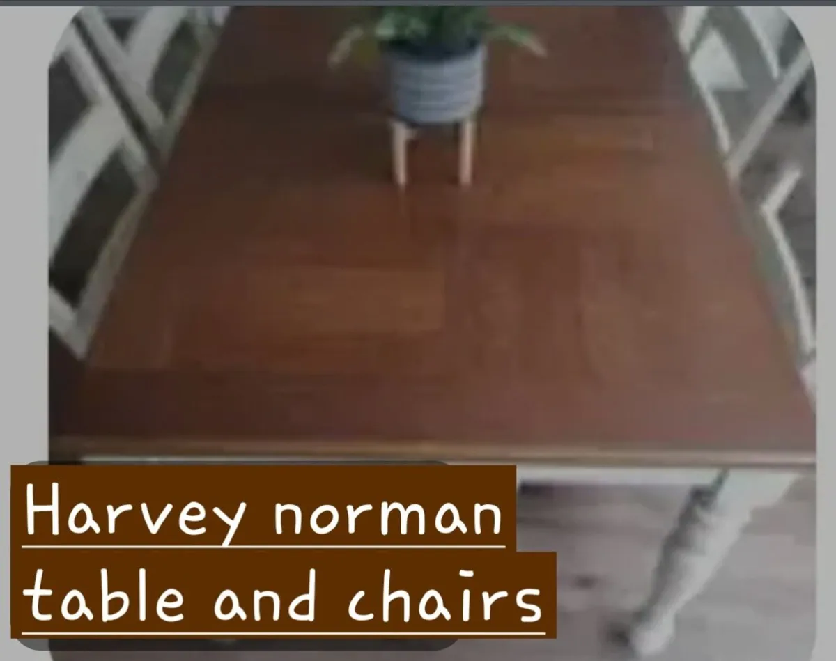 Harvey norman table and chairs