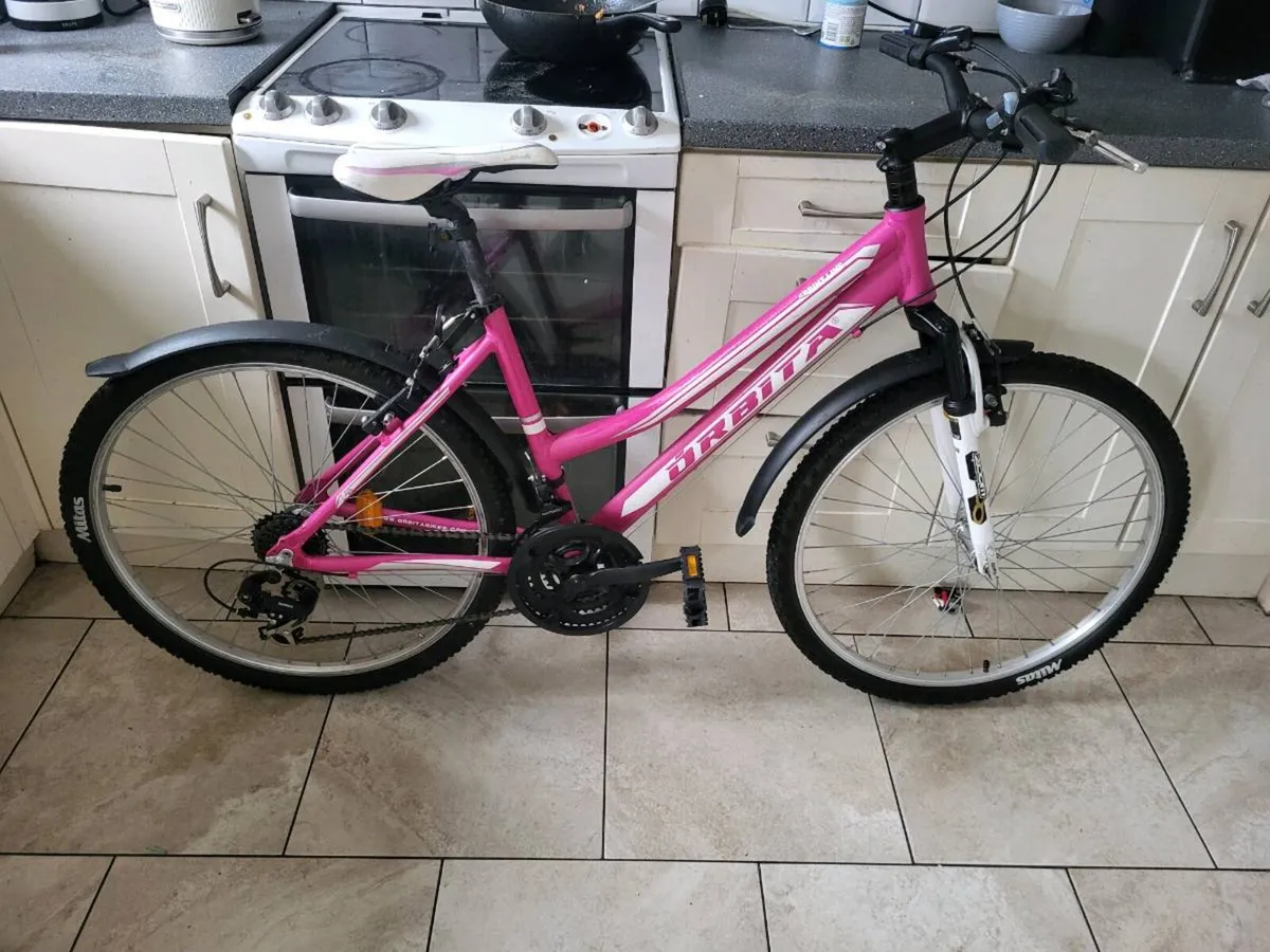 Mountain bike (LIKE NEW) - Image 1