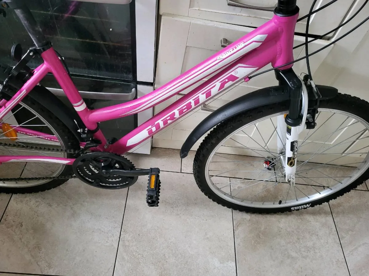 Mountain bike (LIKE NEW) - Image 2