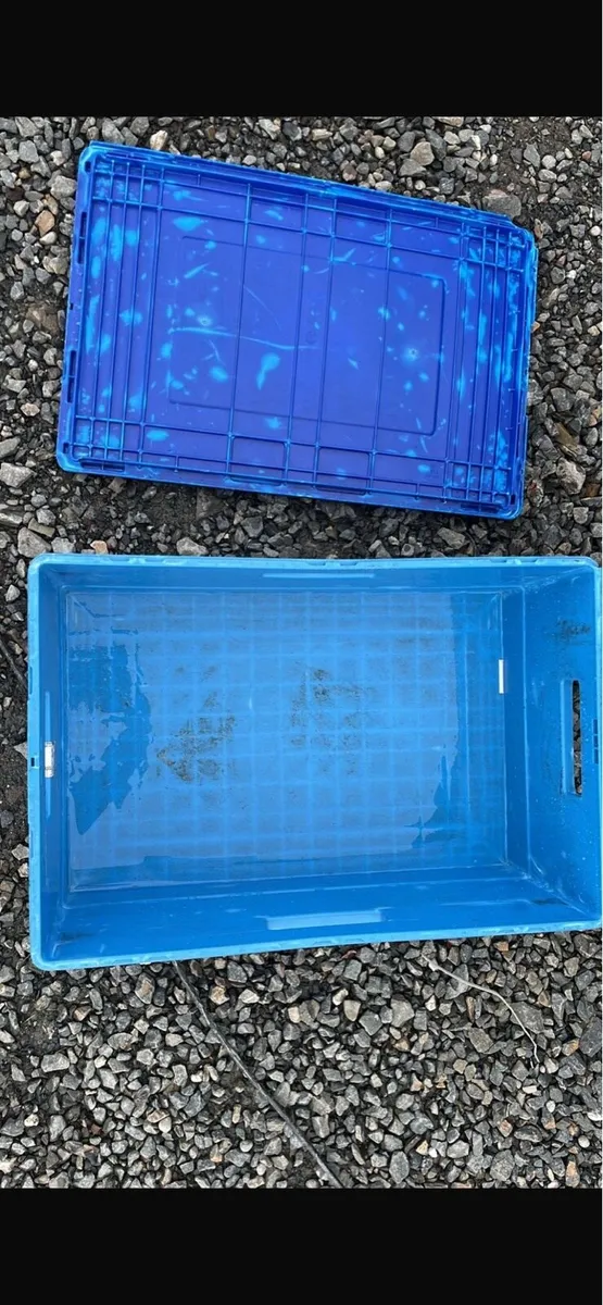 Dollys/ Storage boxes - Image 3