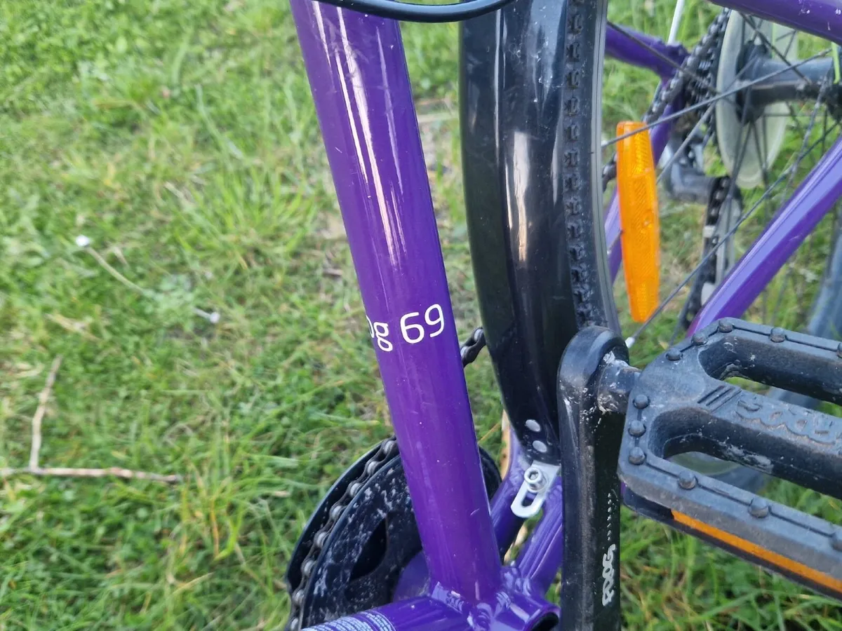 Frog Bike 69 - Image 1