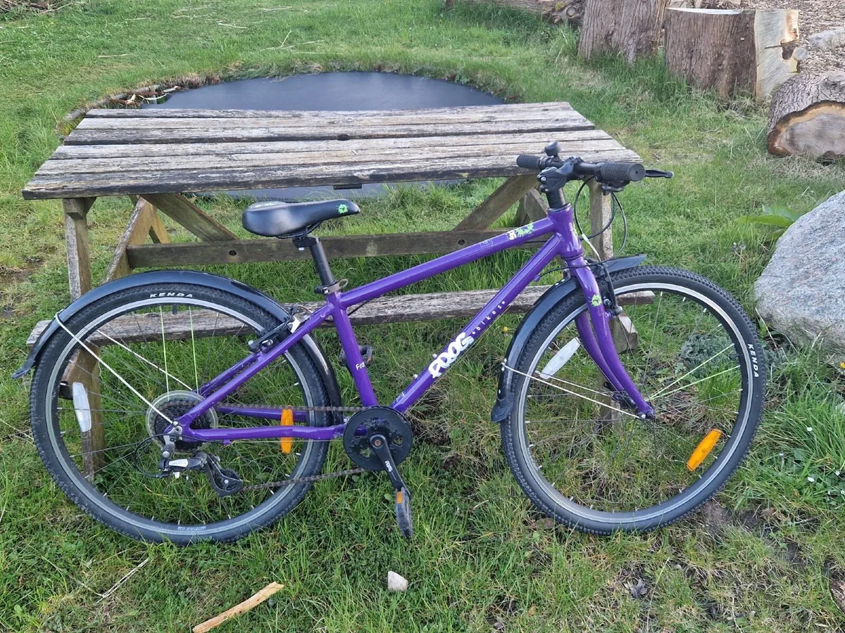 Frog Bike 69 - Image 2