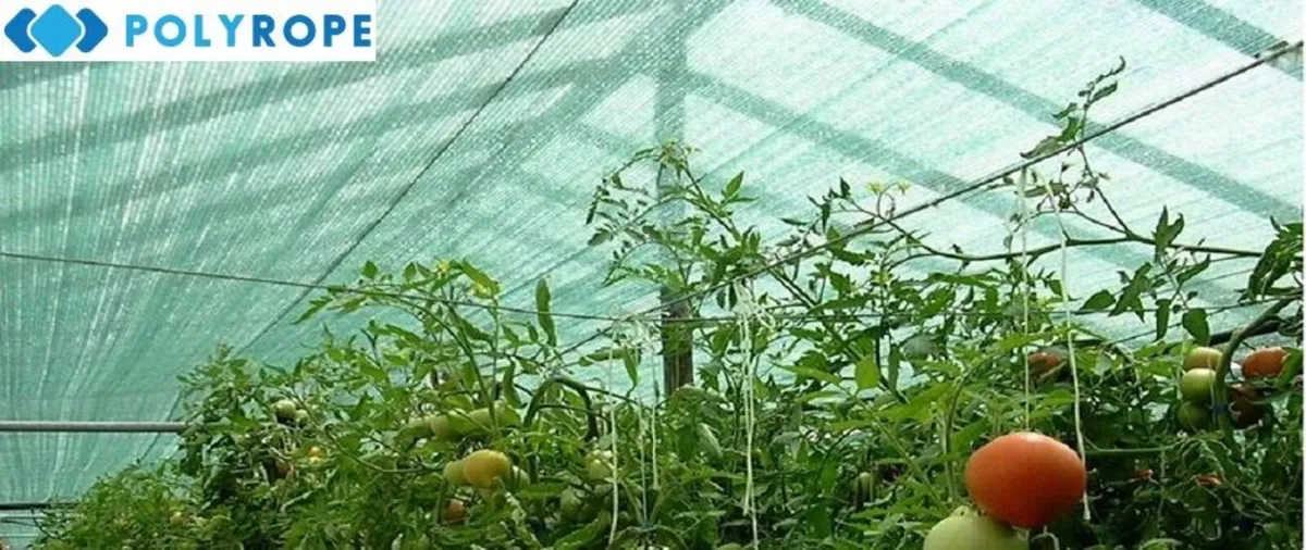 Shade net masking Privacy netting Green - Image 4