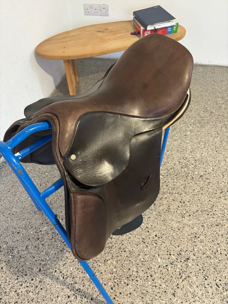 16 inch Berney jumping saddle - Image 1