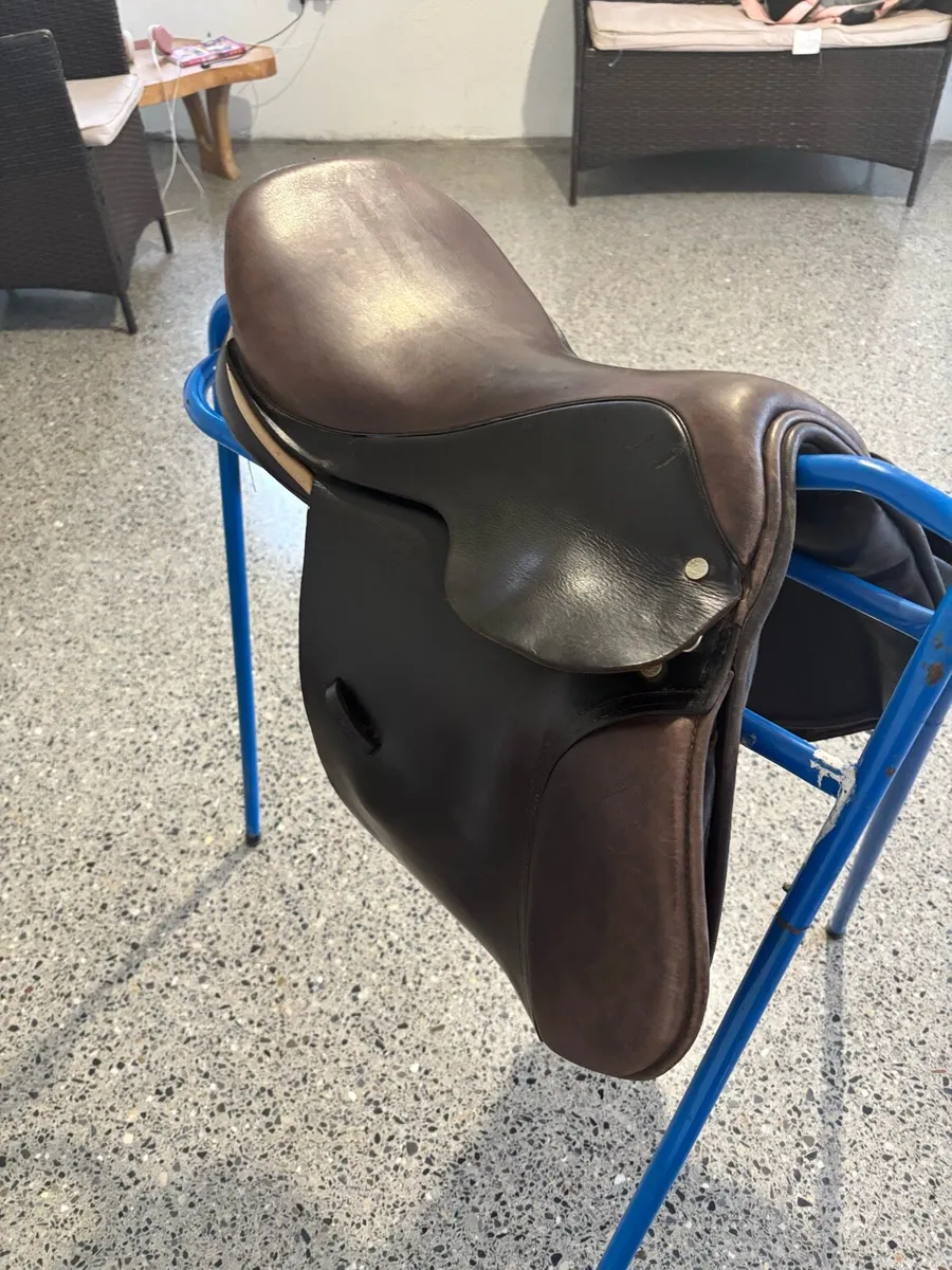 16 inch Berney jumping saddle - Image 2