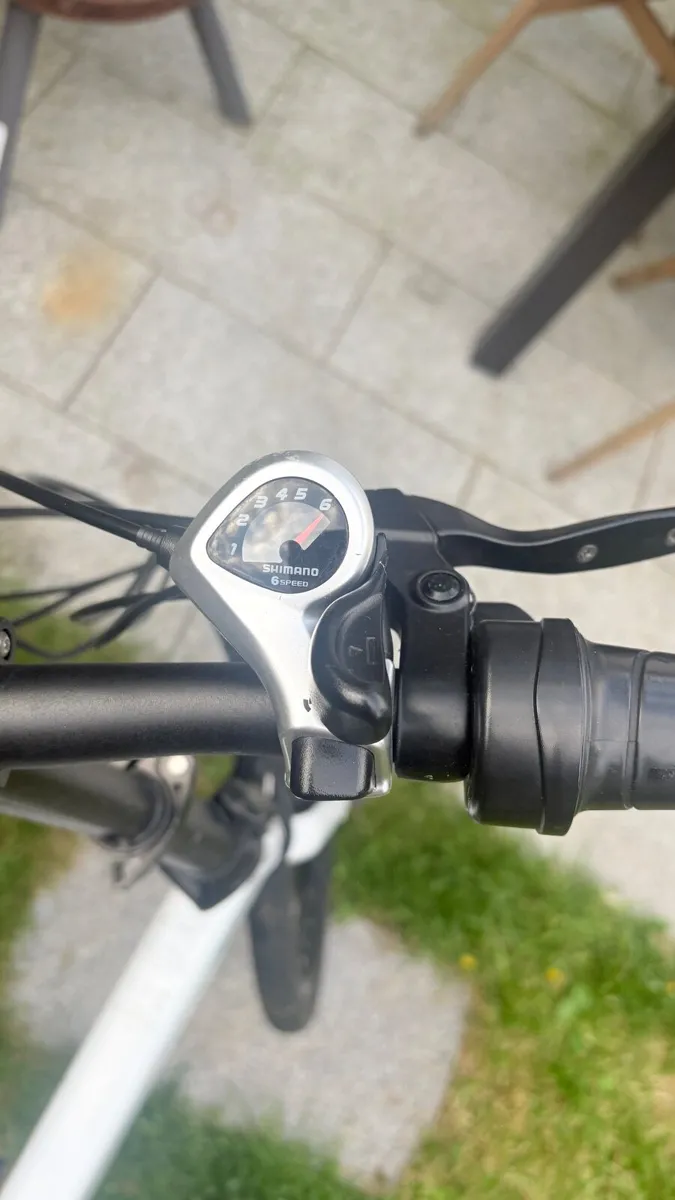 Fiido D4s E-bike - Image 2