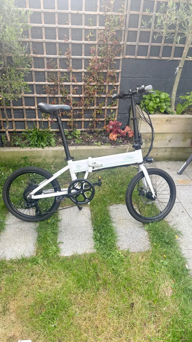 Fiido D4s E-bike - Image 1