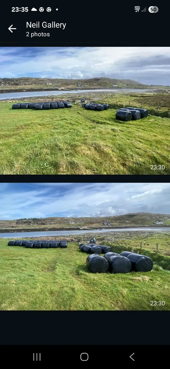 Silage Bales - Image 2