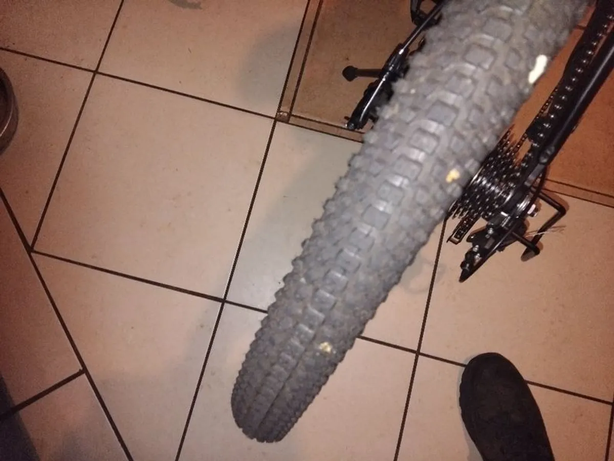 Electric bike - Image 4