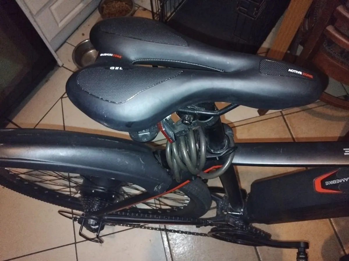 Electric bike - Image 3