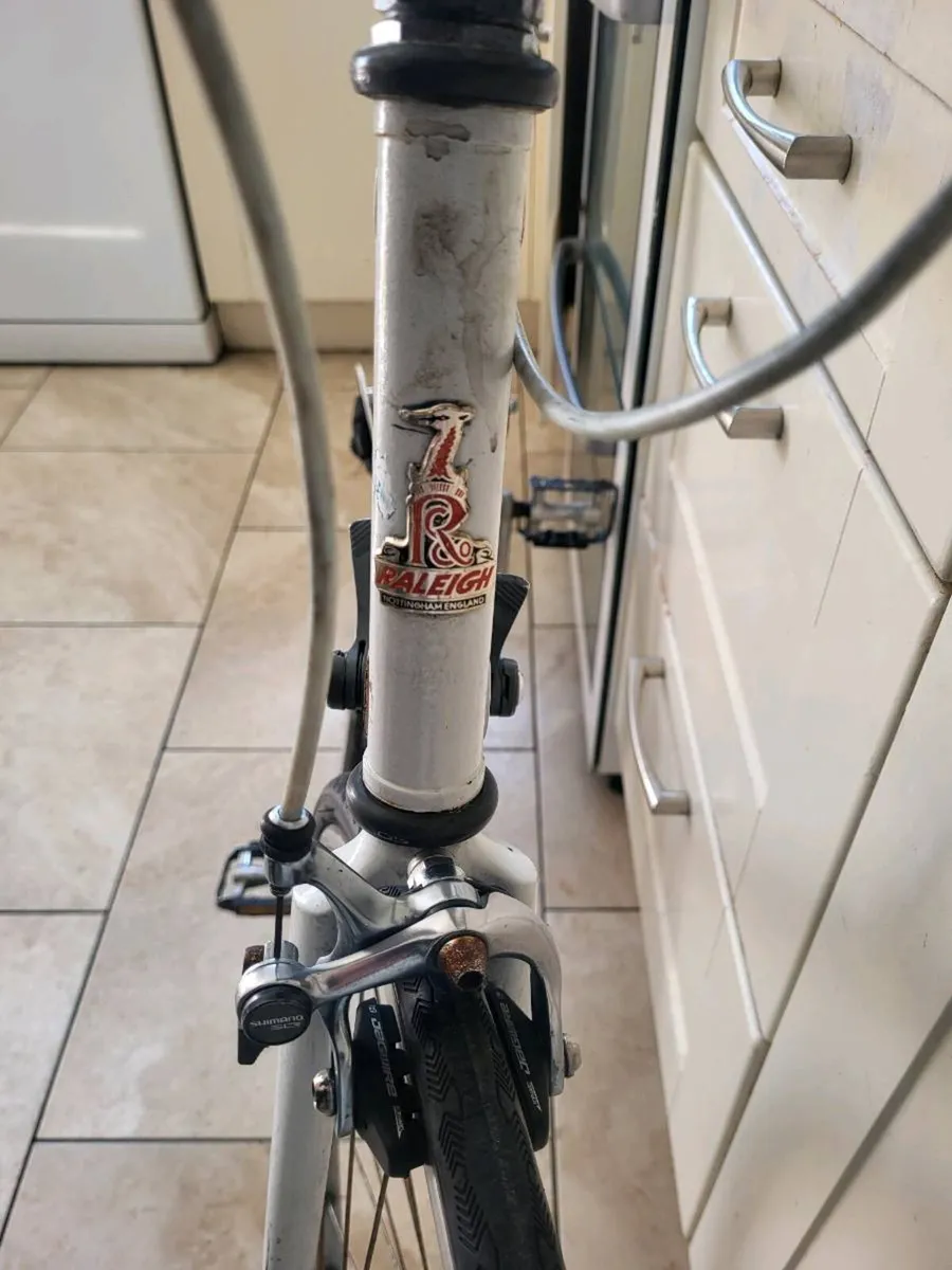 Xxl raleigh bike - Image 2