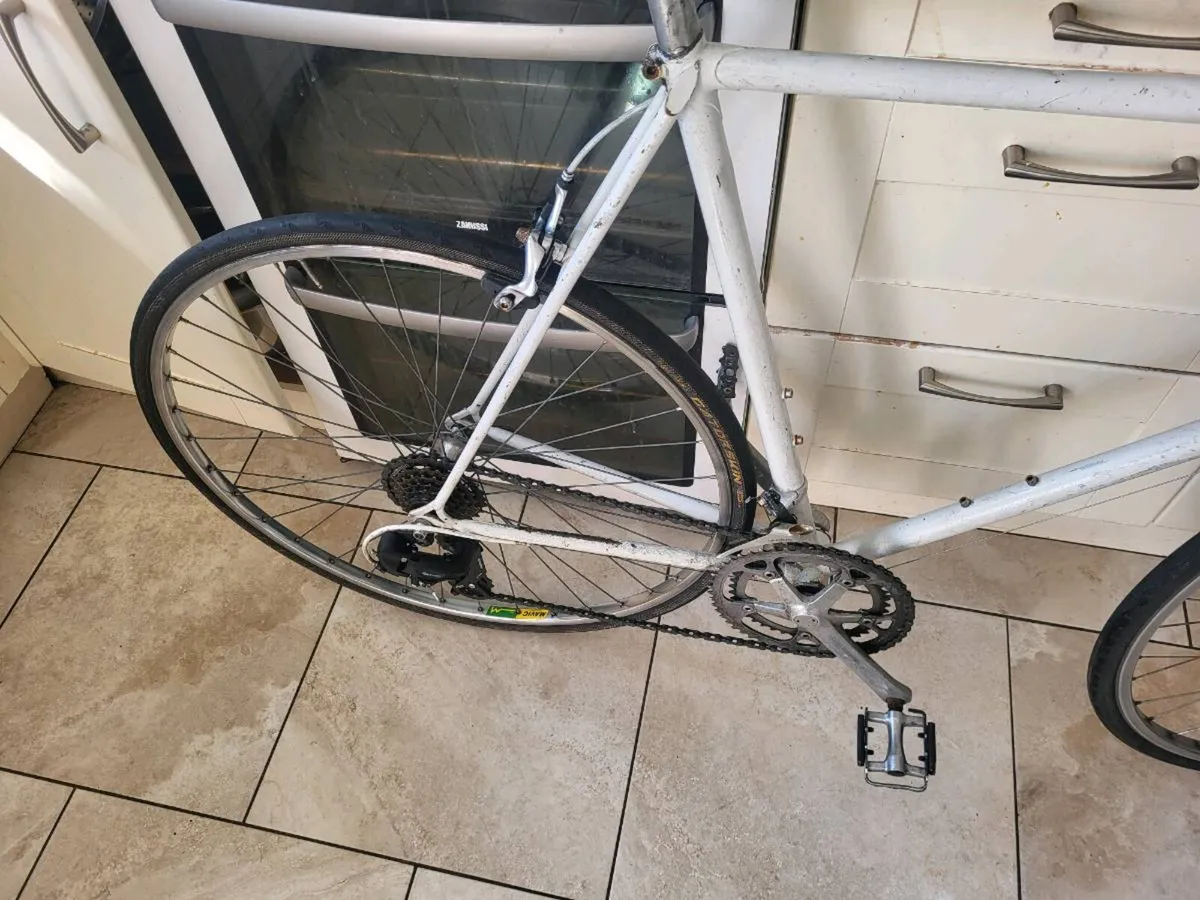 Xxl raleigh bike - Image 3