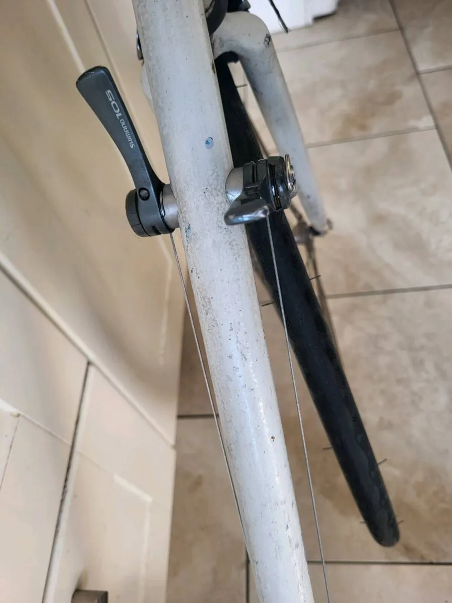 Xxl raleigh bike - Image 4