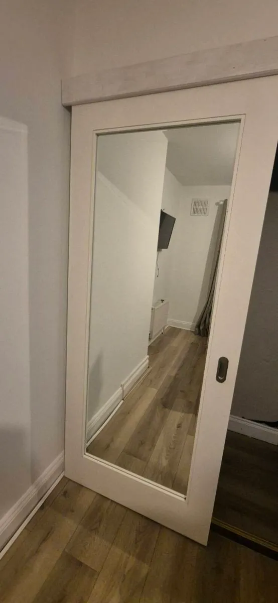 Mirror Shaker Door